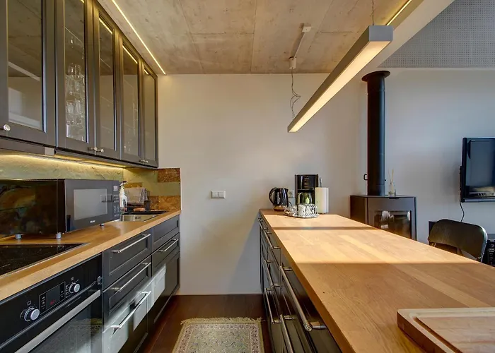 Loft 66/a View Вильнюс